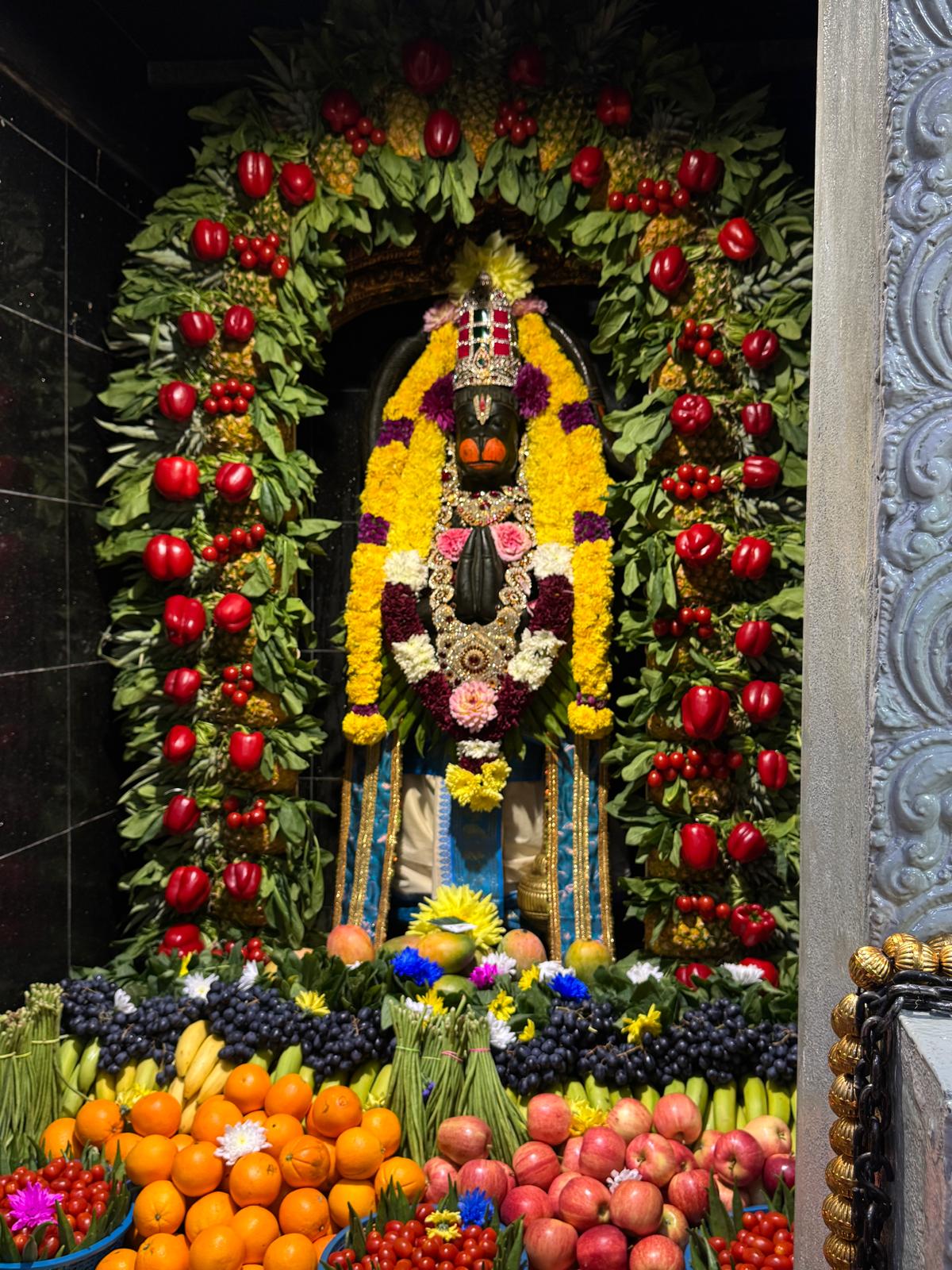 Festival Celebration